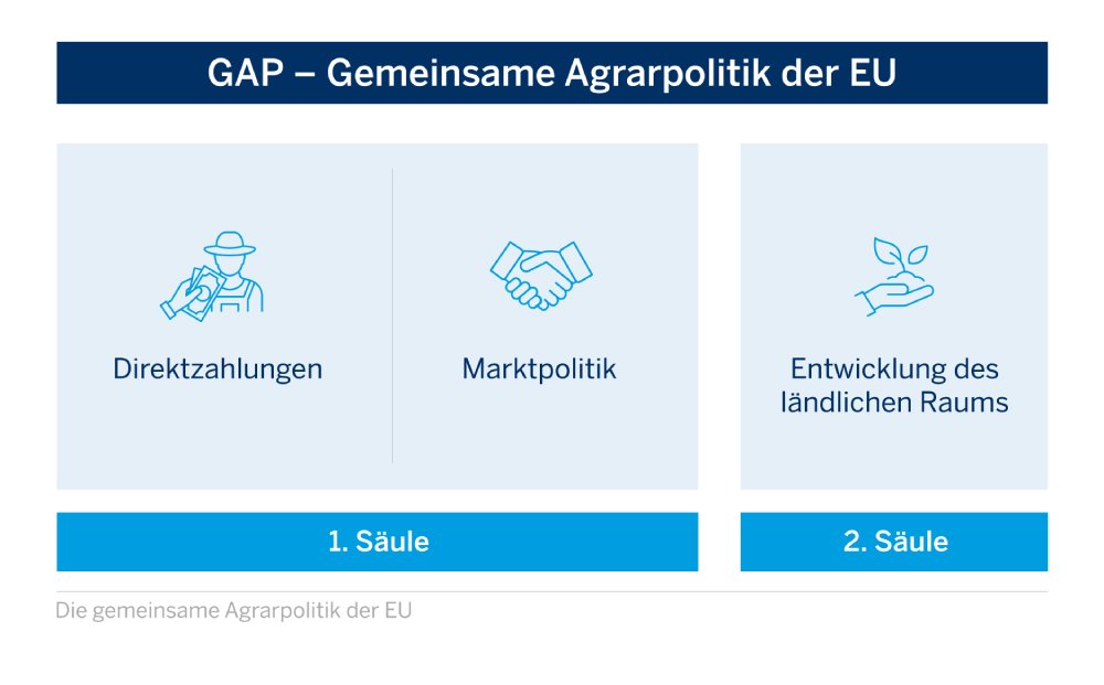 Die GAP beziehungsweise gemeinsame Agrarpolitik der EU wird in zwei Säulen geteilt. In der ersten Säule finden sich Direktzahlungen und Marktpolitik. In der zweiten Säule steht die Entwicklung des ländlichen Raums im Fokus.