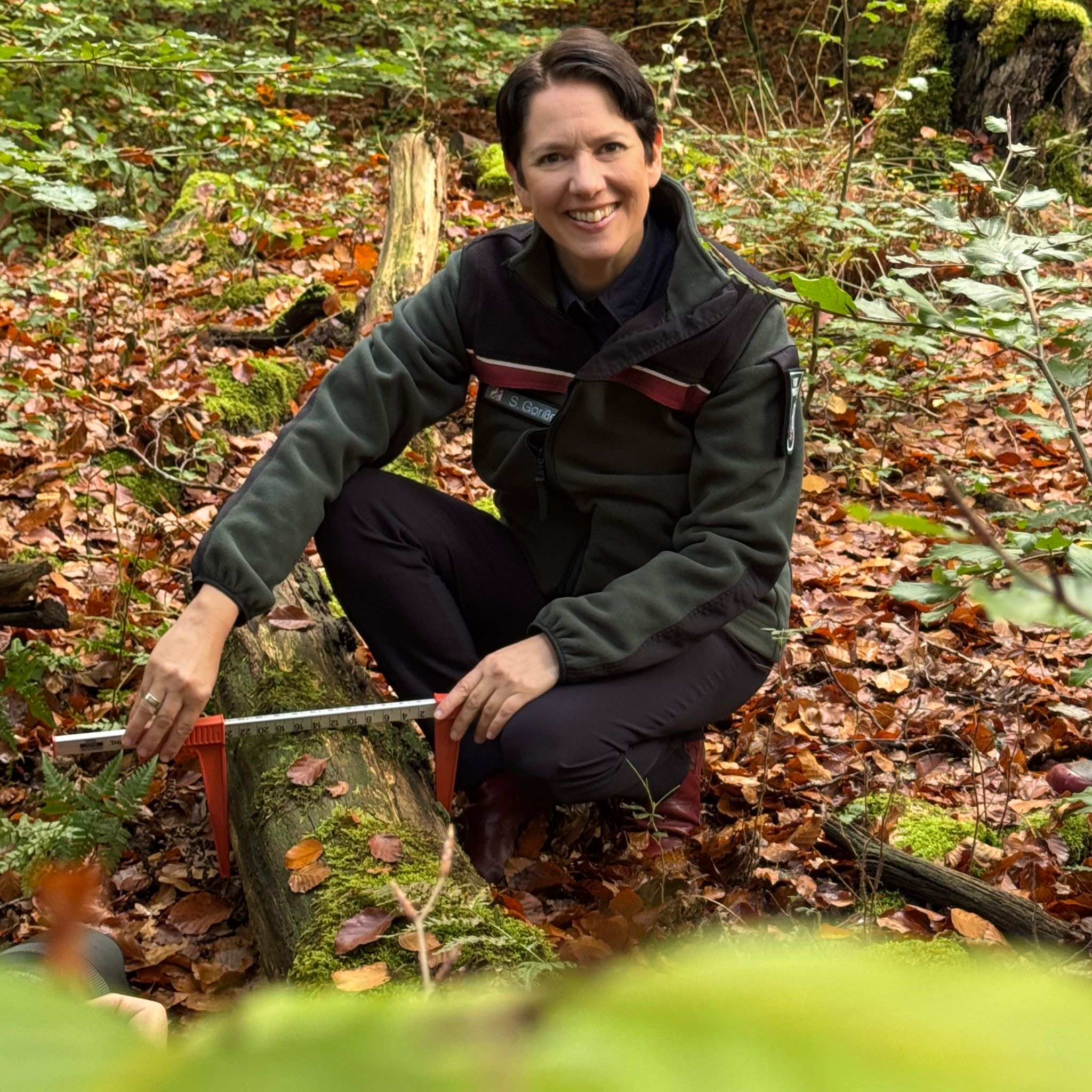 Die Ministerin misst einen Baum aus.