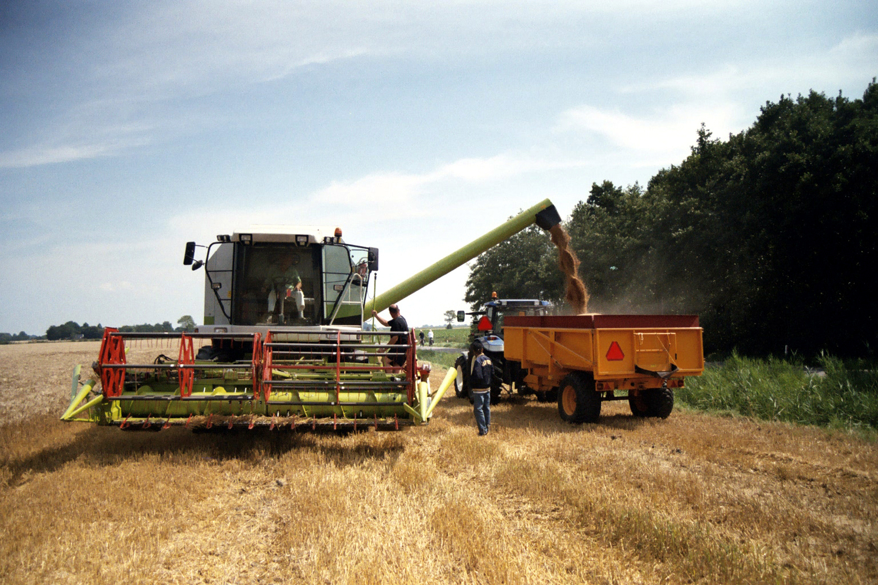 Drei Personen ernten ein Feld mit landwirtschaftlichen Maschinen.