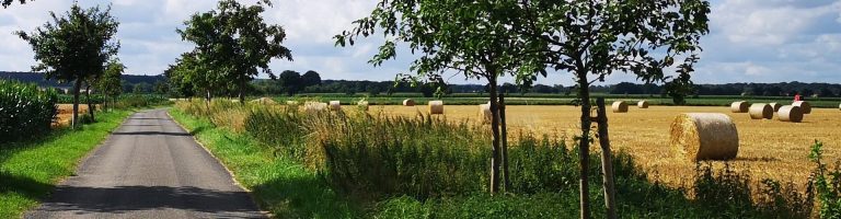 Auf dem Feld neben der Landstraße liegen Heuballen.