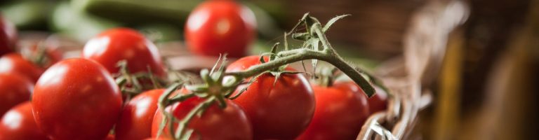 Tomaten liegen in einem Korb.