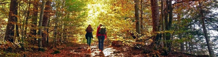 Zwei Personen laufen durch den Wald.