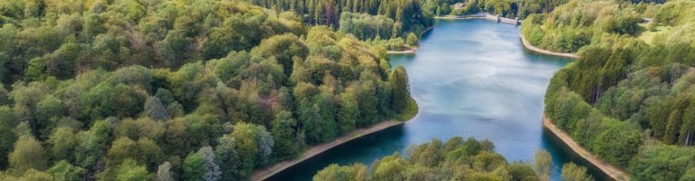 Eine Wasserfläche umschlossen von bewaldetem Gebiet.